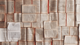 altText(Convocatoria a mujeres y disidencias para libro colectivo)}
