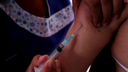 altText(Gobierno negocia la compra de más vacunas contra el coronavirus)}