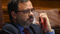 altText(Schipani quiere saber si un legislador que manda a su hijo a la escuela pública viola la Constitución)}