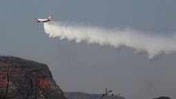 altText(Canadá ofrece un avión cisterna y US$15 millones para extinguir incendios en la Amazonia)}