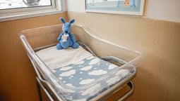 altText(Bebé de 19 días hospitalizada por maltrato severo en el Pereira Rossell)}