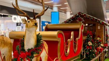 Portones en verano con una promo imperdible.