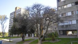 altText(Euskalerría 70 y una historia de deterioro sin contemplar)}