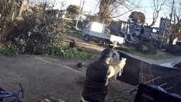 altText(Fue imputado uno de los amigos del policía que mató a dos barras de Nacional en Toledo)}