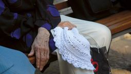 altText(Canastas para jubilados y pensionistas con bajos ingresos)}