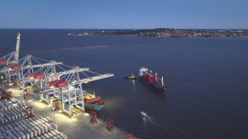 TCP completó la compra de 32 grúas híbridas y apuesta a un puerto verde