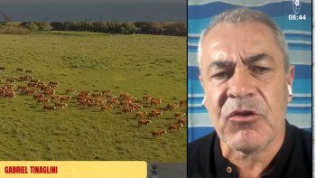 Investigadora por María Dolores: Tinaglini denunció intereses políticos y económicos