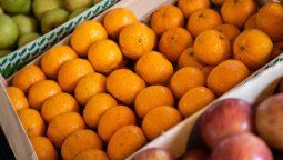 altText(Lanzamiento de la Expo Regional de Alimentos)}