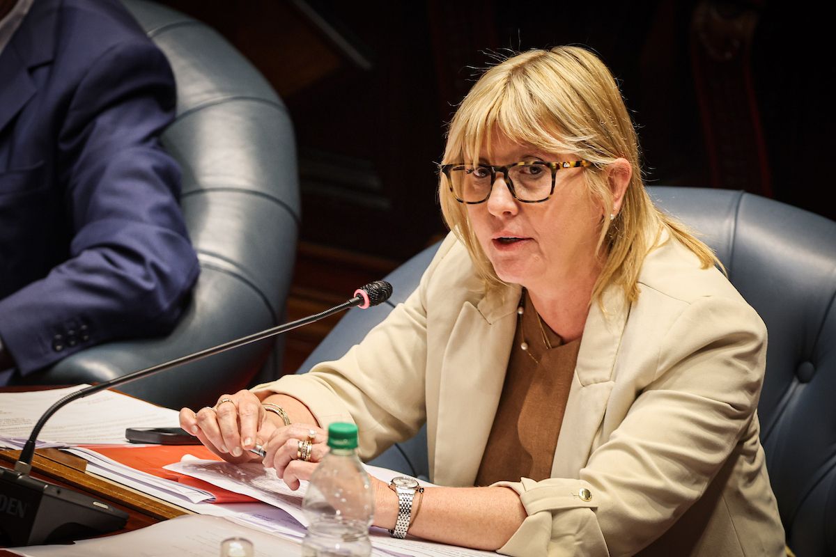 Ministra de Salud Pública, Cristina Lustemberg.