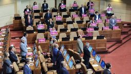 altText(Chile: Diputados aprobó paridad de género, escaños indígenas e independientes)}