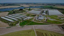 altText(Trabajadores convocan paro por 2 muertes en tambo de Durazno)}