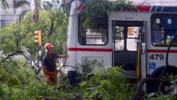 altText(Más de 60.000 personas sin luz por el temporal)}