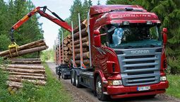 altText(«Paleros» reclaman seguridad en el trabajo ante tormentas eléctricas)}