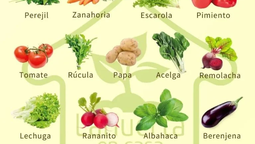 altText(¿Qué se puede sembrar en septiembre?)}