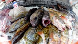 altText(Fancap asegura no estar de paro y desmiente a las cámaras pesqueras)}