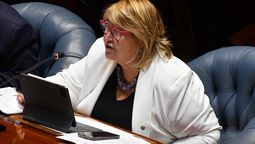 altText(Ministra de Defensa concurre este lunes a la comisión especial por el caso Cardama)}