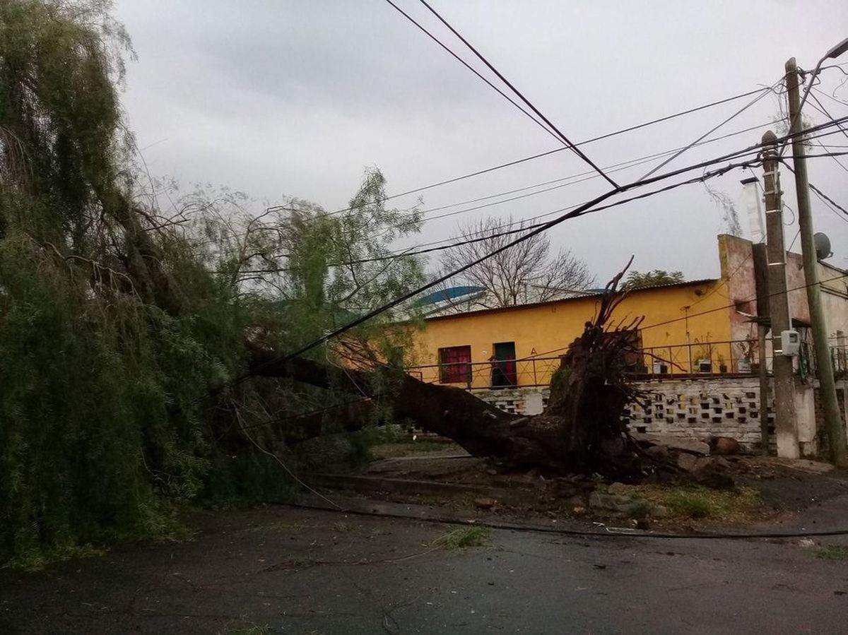 Una corriente descendente causó numeros daños en Paysandú.