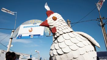 Intendencia de Canelones evalúa posponer Fiesta del Pollo y la Gallina