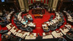 altText(El Senado aceptó la renuncia de Charles Carrera)}